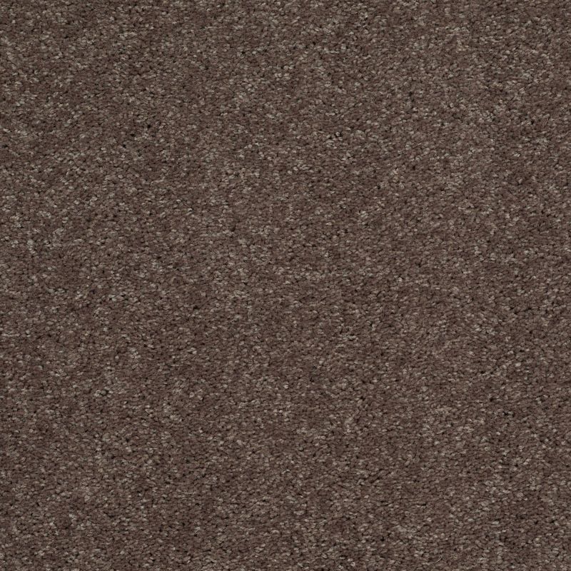 Shaw Floors Value Collections Well Played II 15' Net Briar Patch