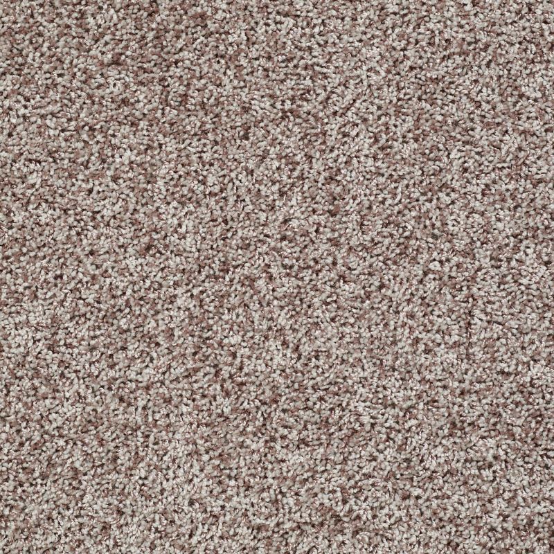 Shaw Floors Value Collections Color Flair Net Toast