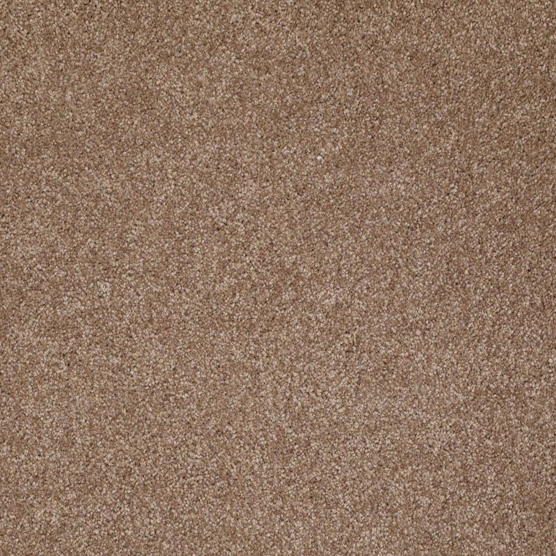 Shaw Floors Laguna Beach Acorn