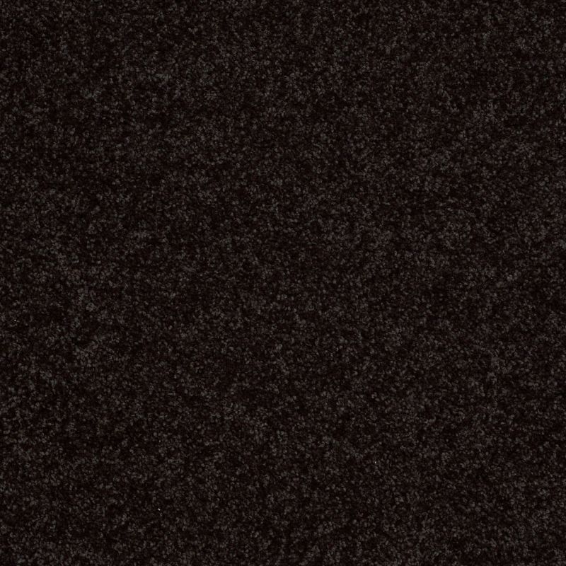 Shaw Floors Value Collections Mayville 12' Net Armour
