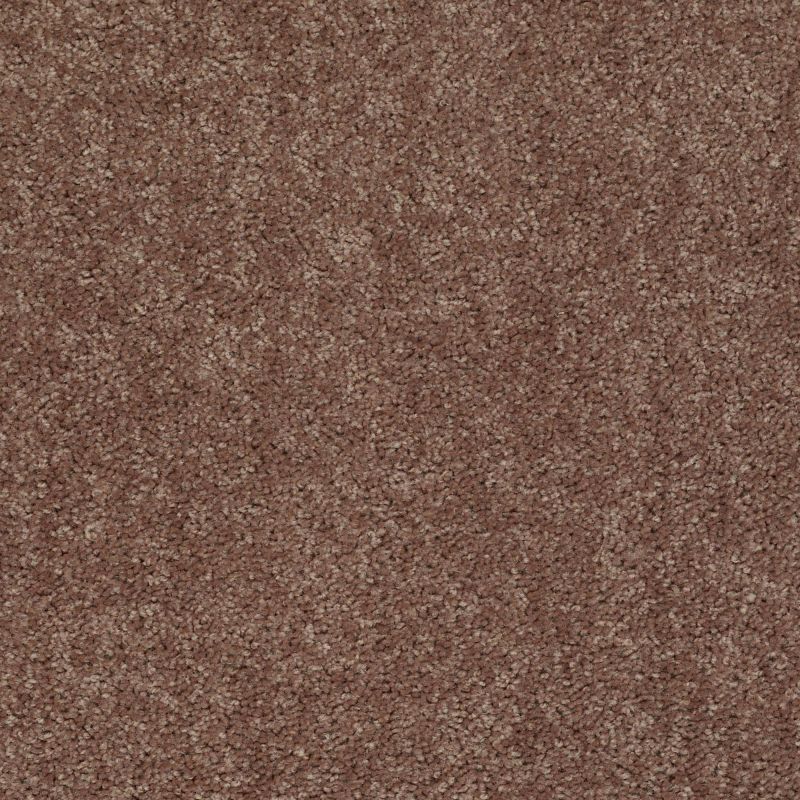 Shaw Floors Value Collections Mayville 12' Net Landslide