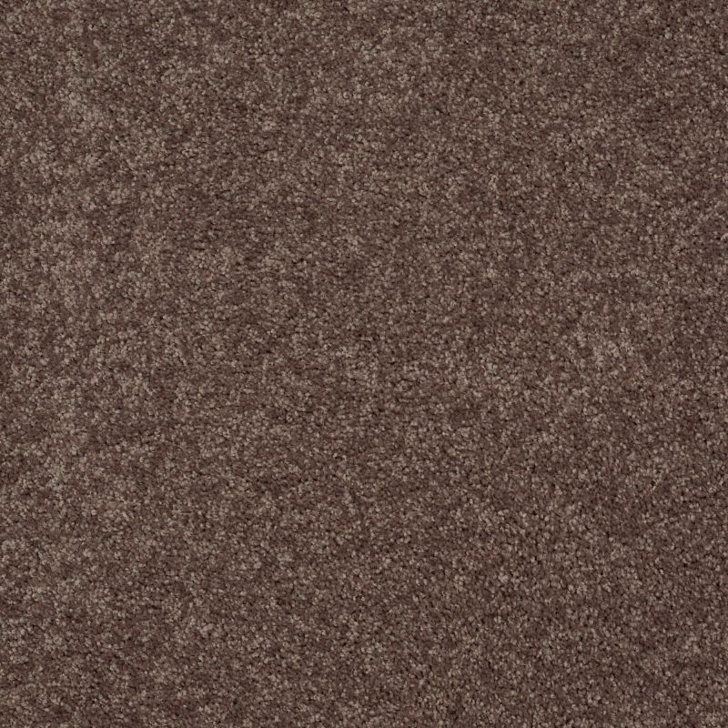 Shaw Floors Value Collections Mayville 12' Net Molasses