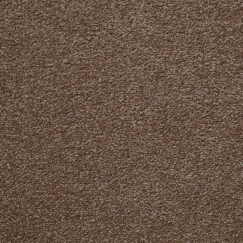Shaw Floors Value Collections Something Sweet Net Brushed Suede