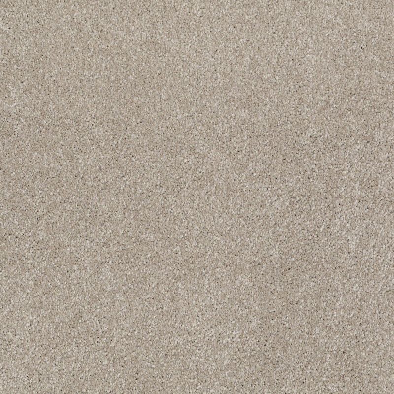 Shaw Floors Value Collections That's Right Net Coastal Fog