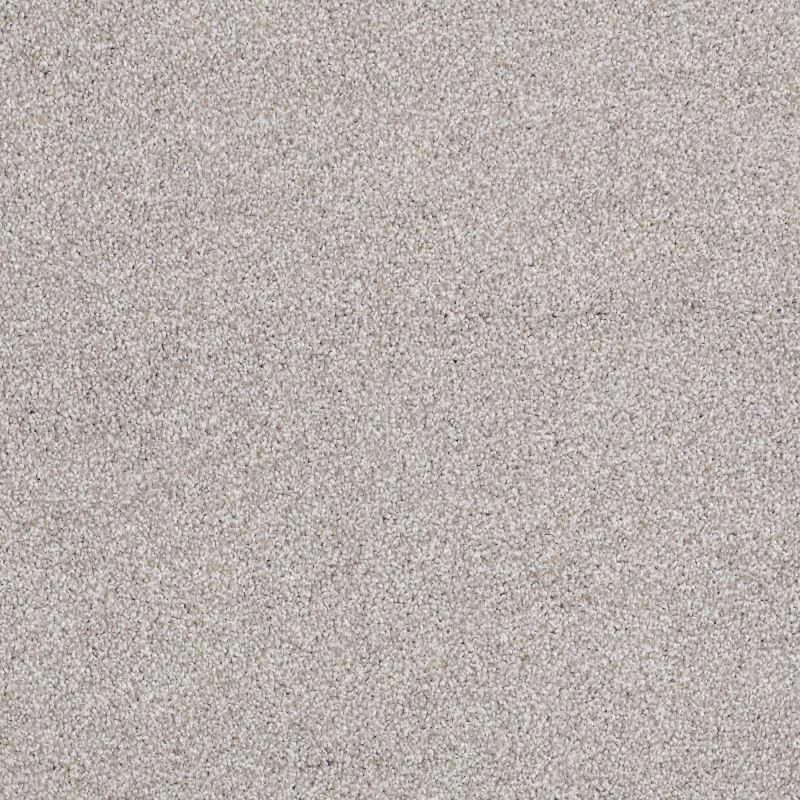 Shaw Floors Value Collections You Know It Net Frosted Ice