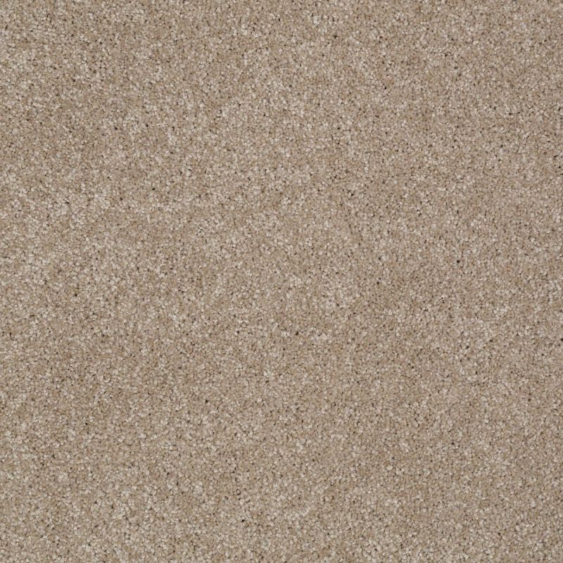 Shaw Floors Value Collections You Know It Net Havana