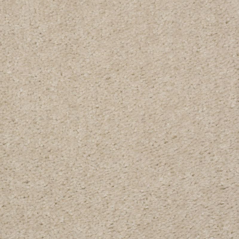 Shaw Floors Value Collections This Is It Net Quiet Beige