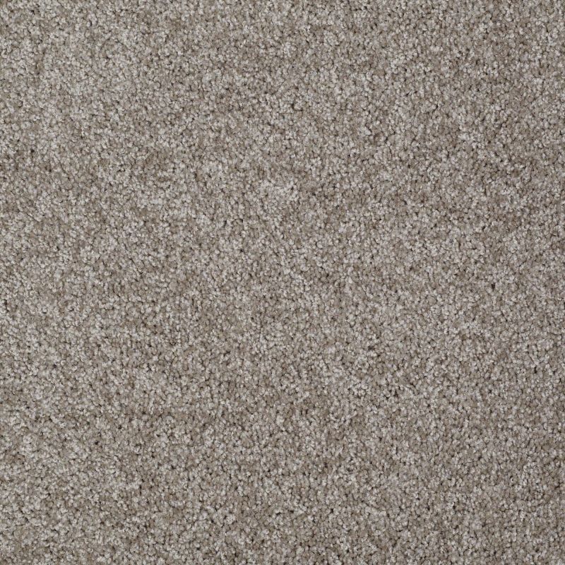 Shaw Floors Adam's Choice (s) Driftwood Solid