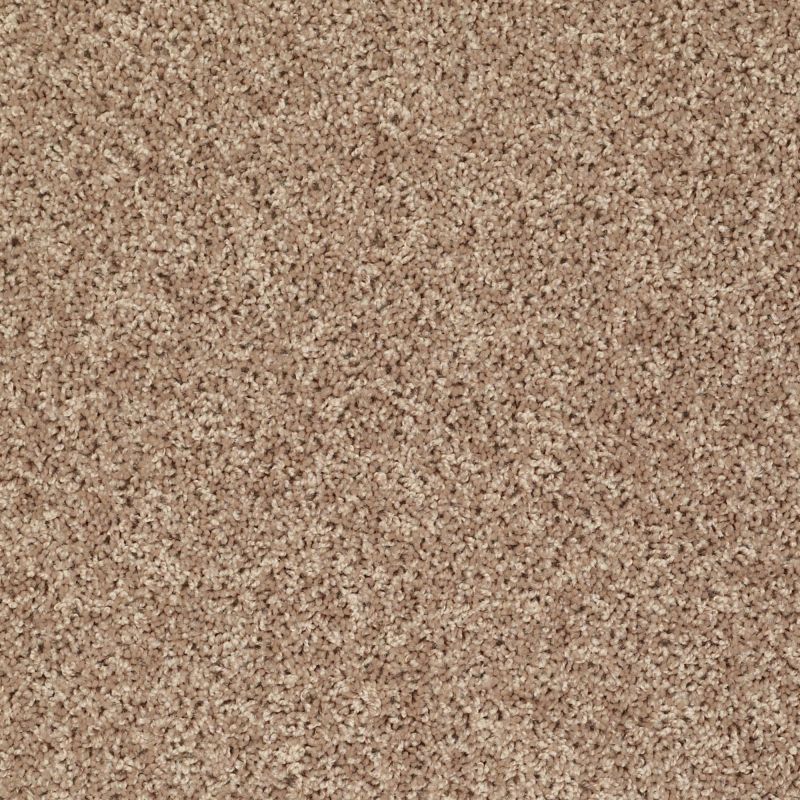 Shaw Floors Value Collections Xv442 Net Northern Plains