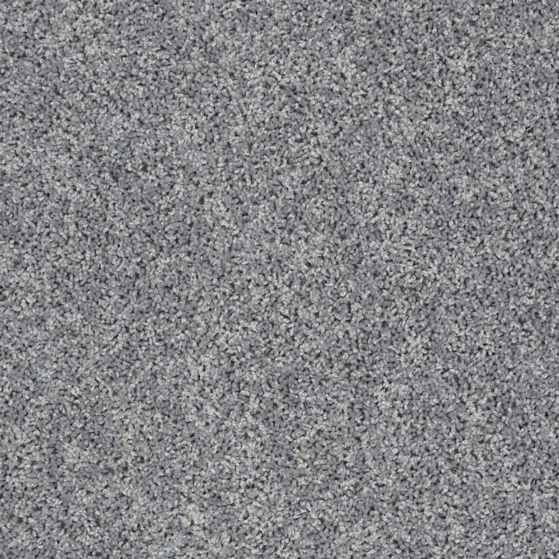 Shaw Floors Value Collections Xv442 Net Windy City
