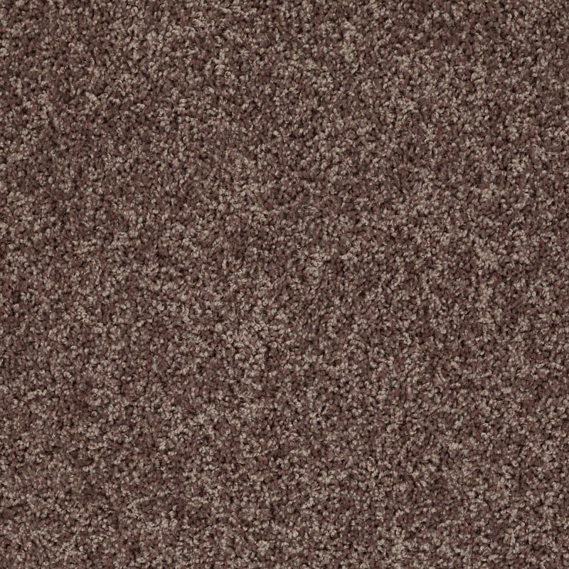 Shaw Floors Value Collections Xv442 Net Timber Trail