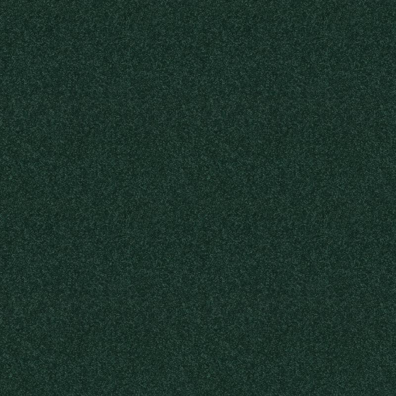 Shaw Floors Value Collections Dyersburg  Net Polo