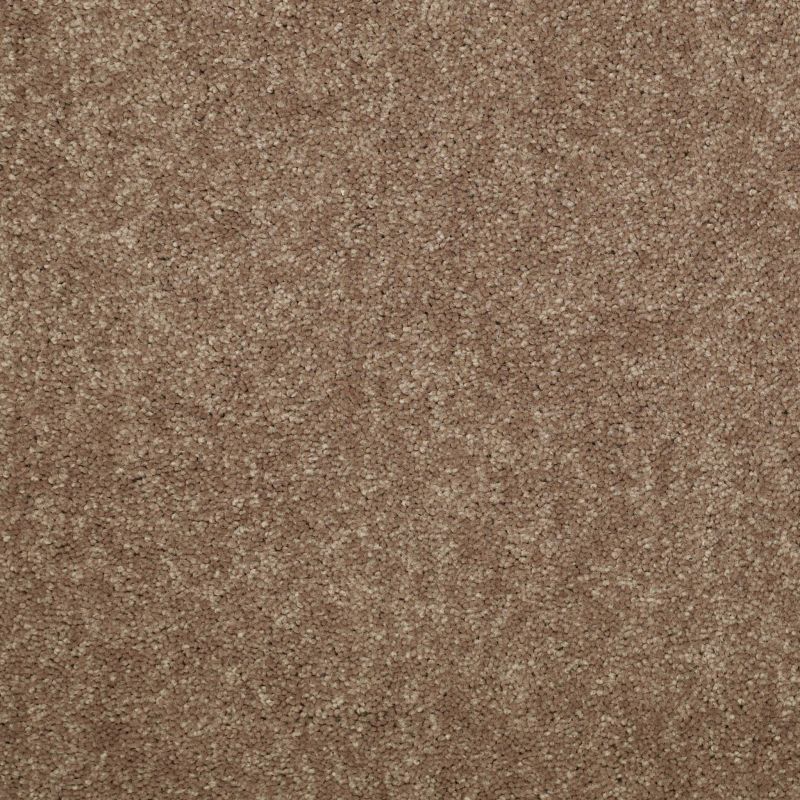 Shaw Floors Value Collections Dyersburg  Net Candied Truffle