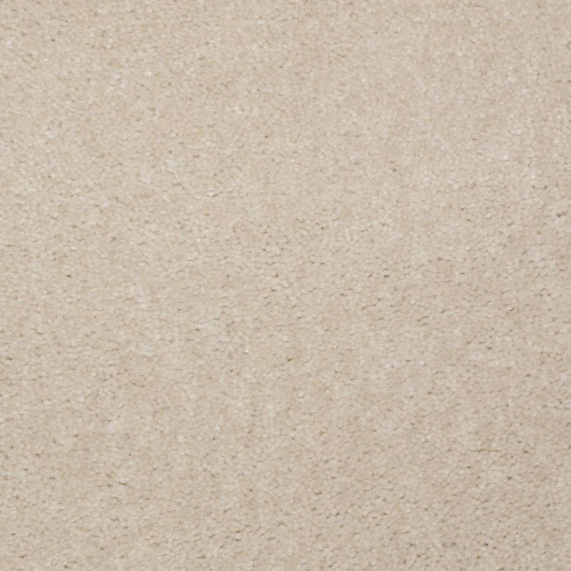 Shaw Floors Value Collections Hawkeye II Net Glacier