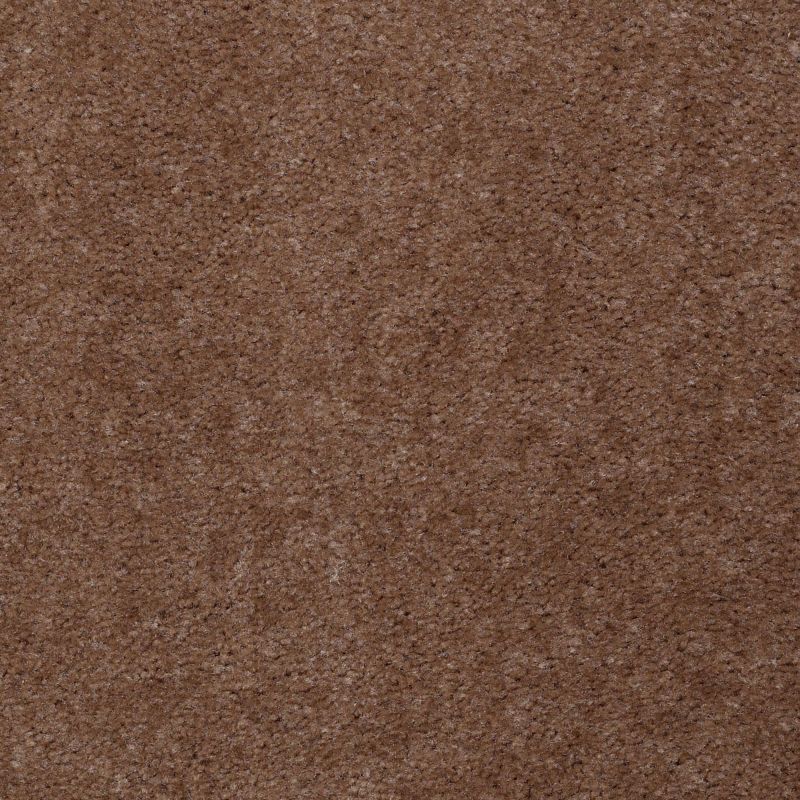 Shaw Floors Value Collections Hawkeye II Net Moccasin