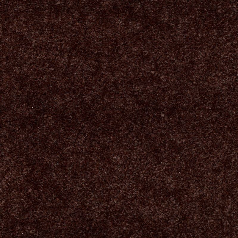Shaw Floors Value Collections Hawkeye II Net Buckeye Brown