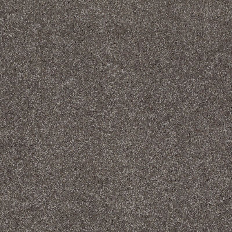 Shaw Floors Anso Open II (s) Stone Hearth