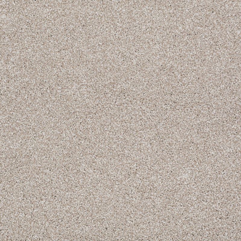 Shaw Floors Anso Open II (t) Doeskin