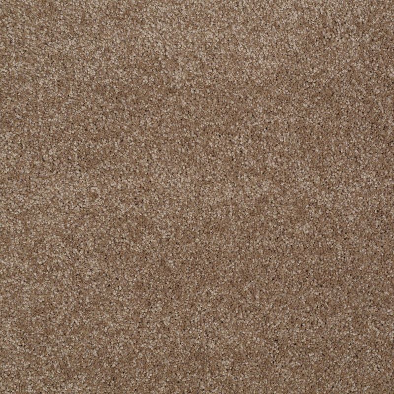 Shaw Floors Anso Open III (s) Acorn