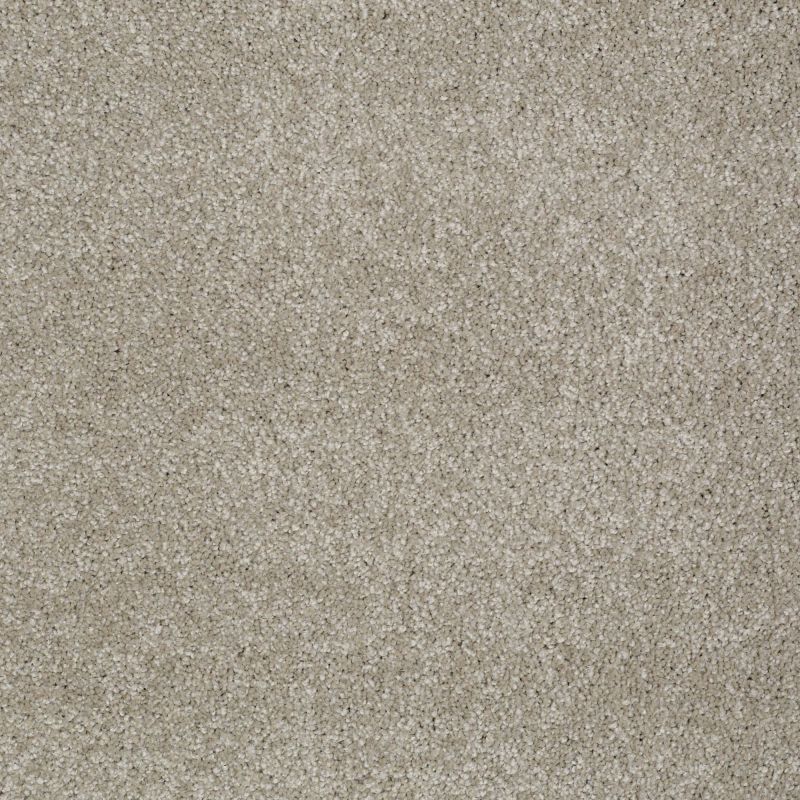 Shaw Floors Anso Open III (s) Coastal Fog