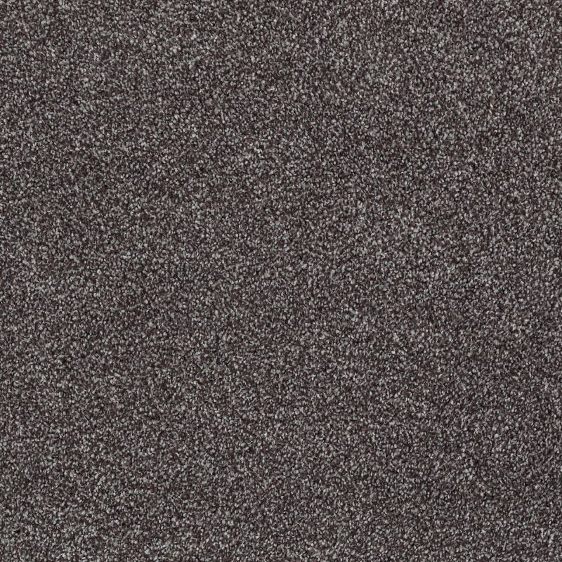 Shaw Floors Anso Open III (t) Rich Earth