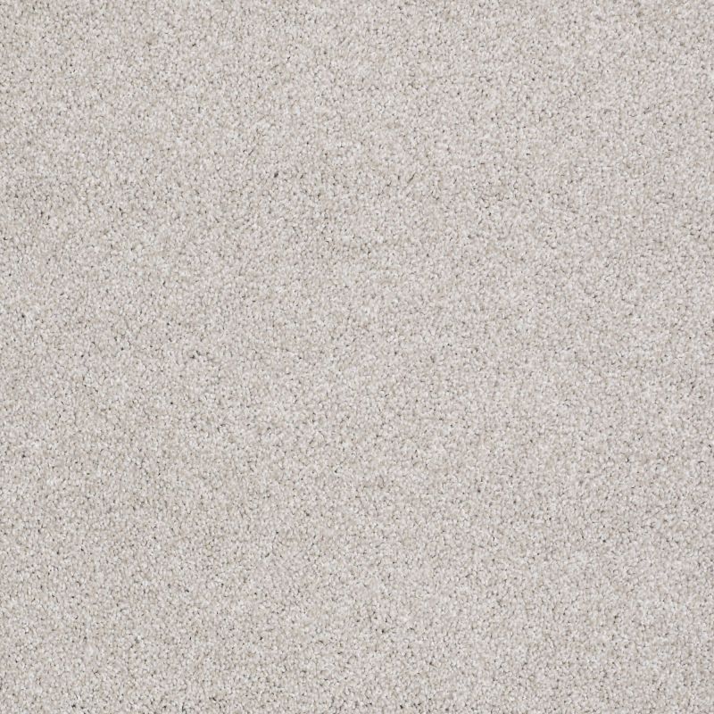 Shaw Floors Value Collections Xvn05 (t) Cement Mix