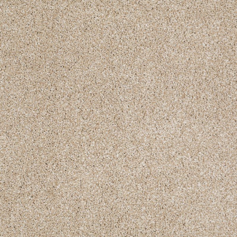 Shaw Floors Value Collections Xvn05 (t) Rich Butter