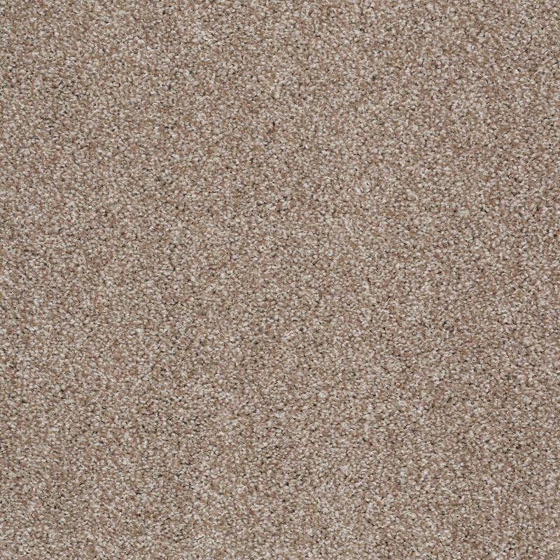 Shaw Floors Value Collections Xvn05 (t) Sombrero