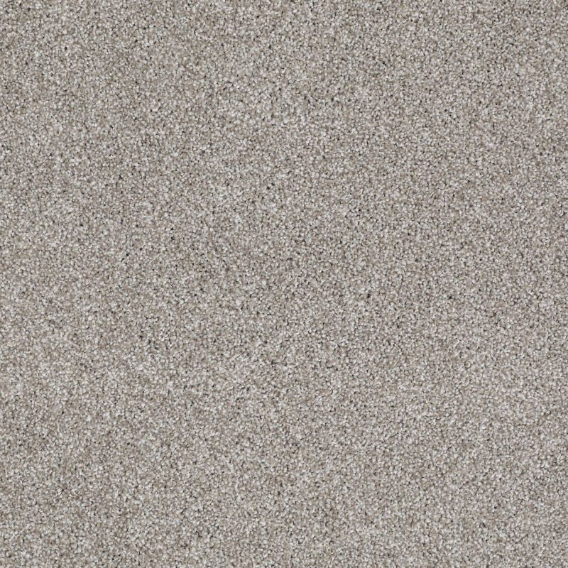 Shaw Floors Value Collections Xvn05 (t) Cocoa