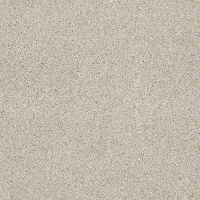 Shaw Floors Value Collections Xvn06 (s) Linen