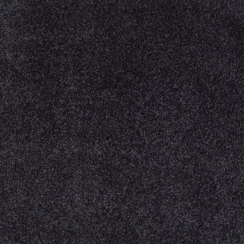 Shaw Floors Value Collections Xvn07 (s) Stunning Navy
