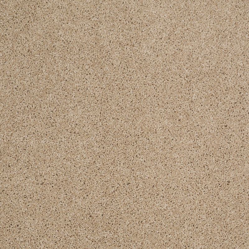 Shaw Floors Value Collections Origins Net Dunes
