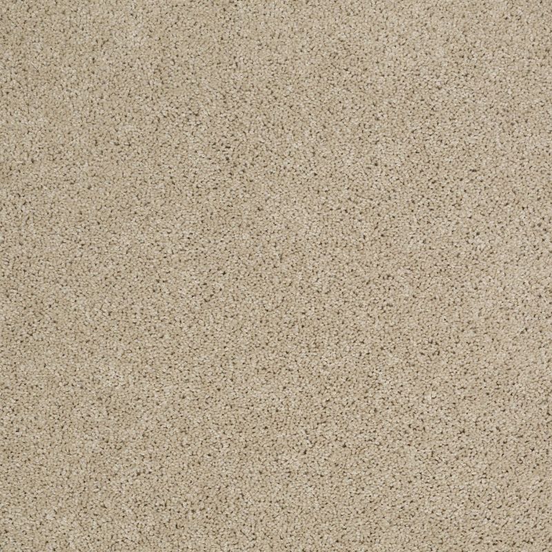 Shaw Floors Value Collections Origins Net Frost