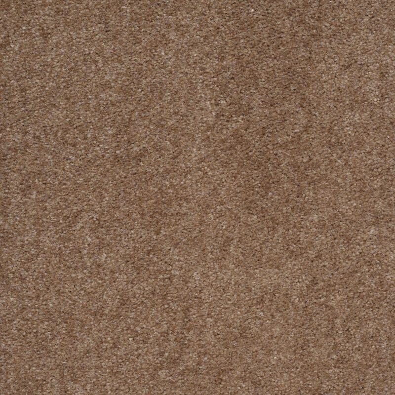 Shaw Floors Value Collections Optimum Net Cobble Hill