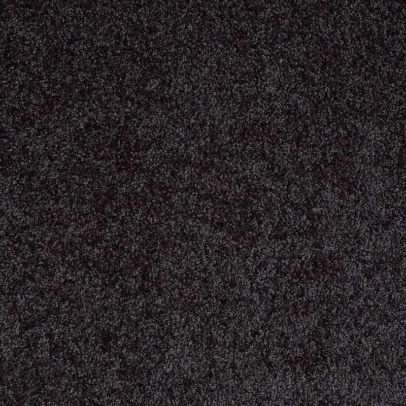 Shaw Floors Value Collections Dakota Springs Net Nightfall Navy