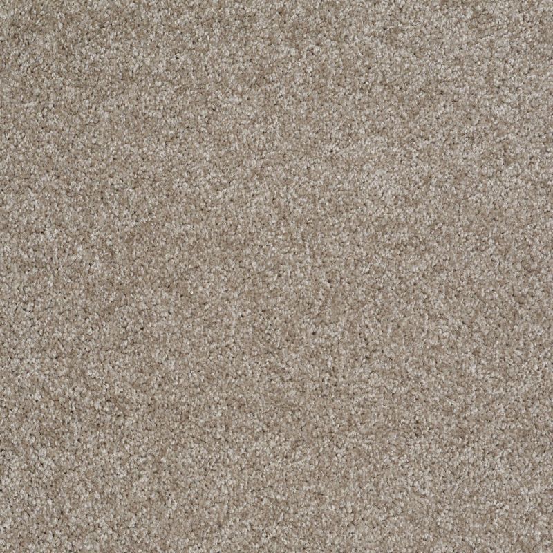 Shaw Floors Value Collections Dakota Springs Net Harbor Town