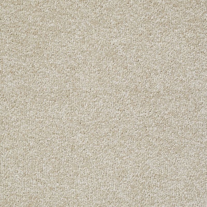 Shaw Floors Value Collections Jealousy Net Cream Puff