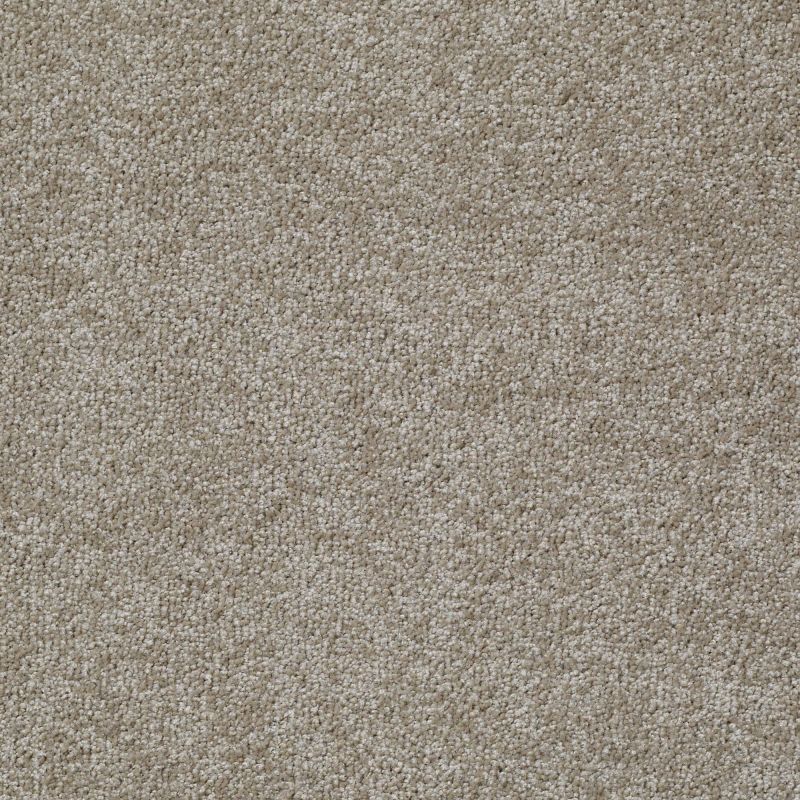 Shaw Floors Value Collections Jealousy Net Hickory