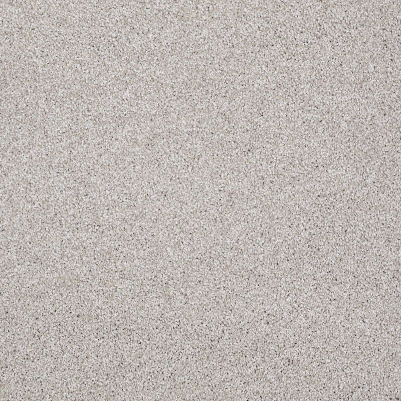 Shaw Floors Value Collections Sweet Life Net Catnip