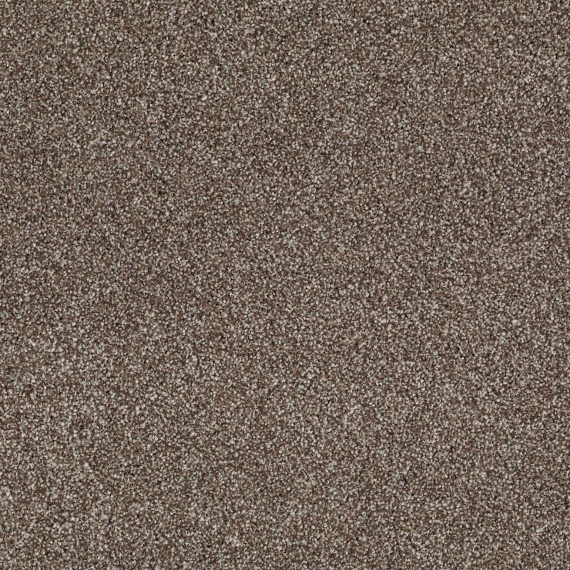 Shaw Floors Value Collections Sweet Life Net Saddle