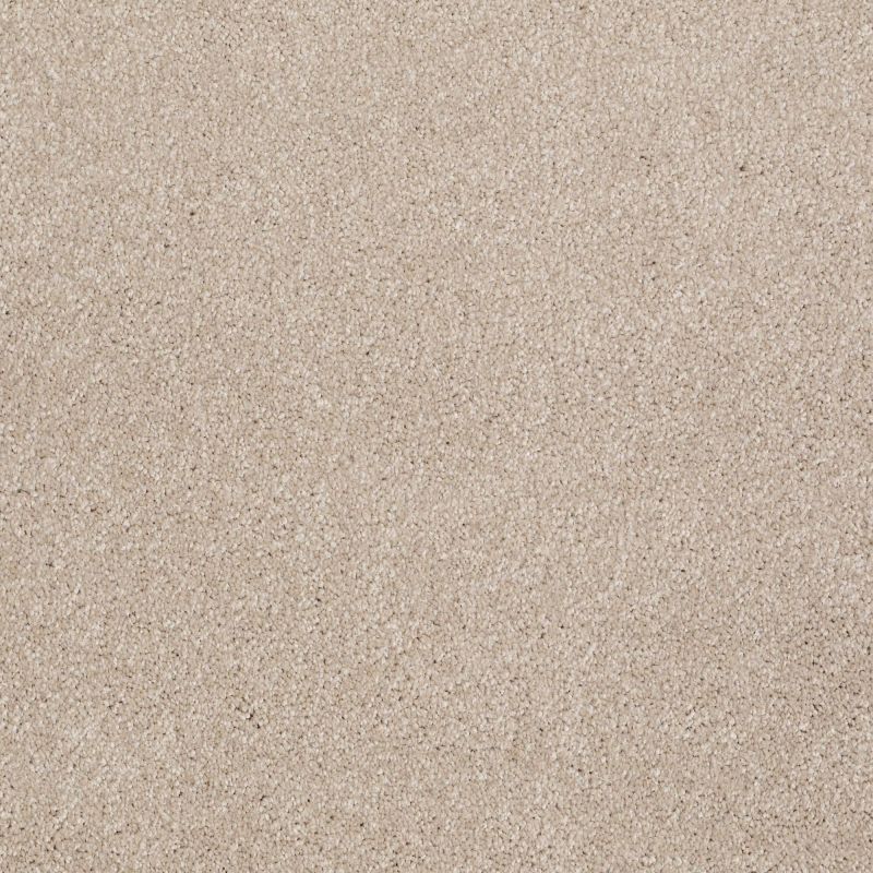 Shaw Floors Value Collections Look Forward Net French Canvas