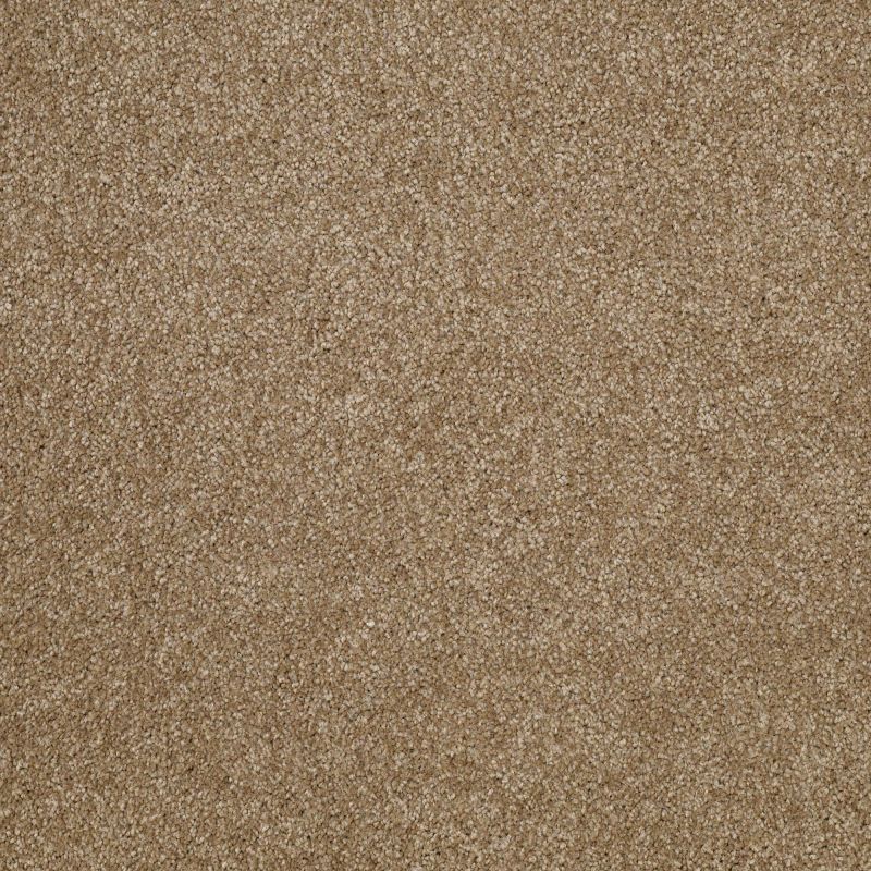 Shaw Floors Value Collections Look Forward Net Bridgewater Tan