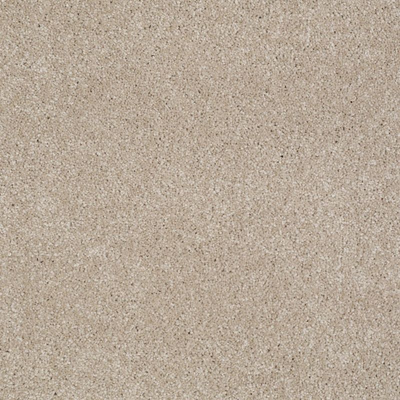 Shaw Floors Value Collections Majority Rules Net French Canvas