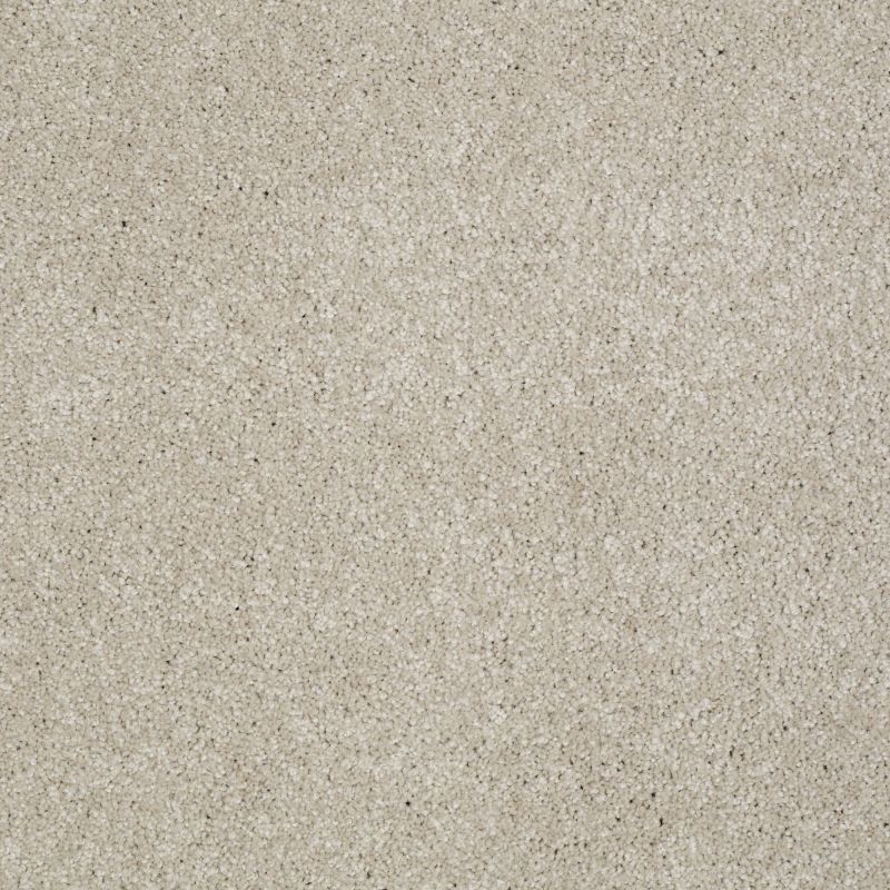 Shaw Floors Value Collections Majority Rules Net Linen