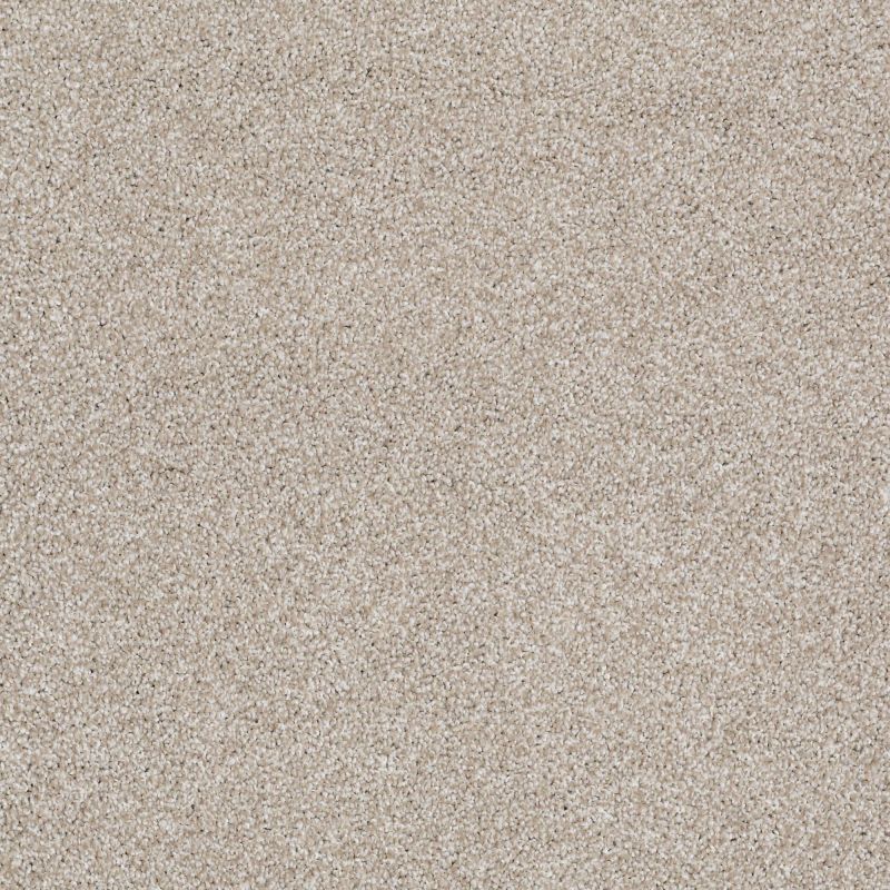 Shaw Floors Value Collections Majority Rules Net Cork Board