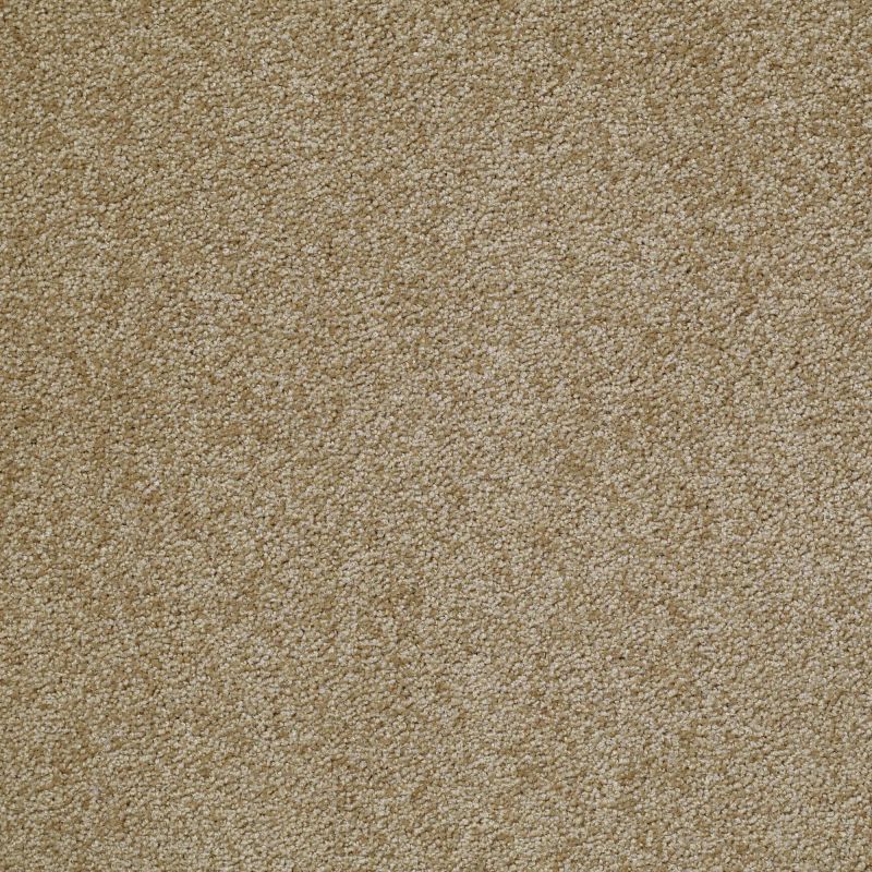 Shaw Floors Great Choice Starcrest