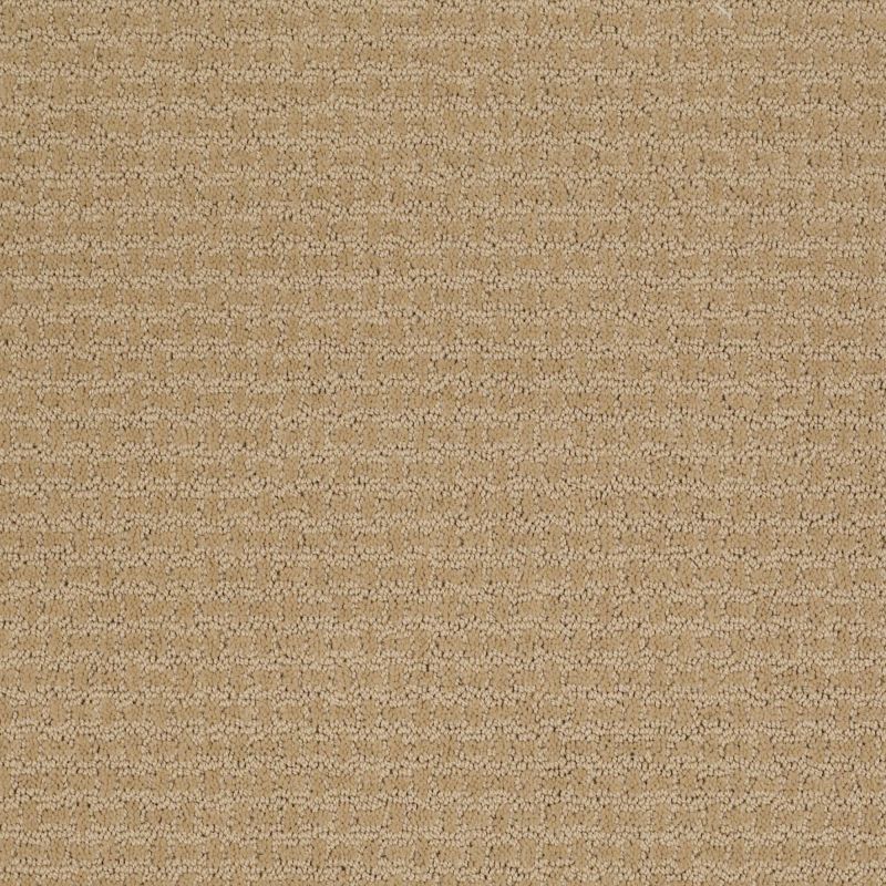 Shaw Floors Value Collections Activate Net Natural Wood