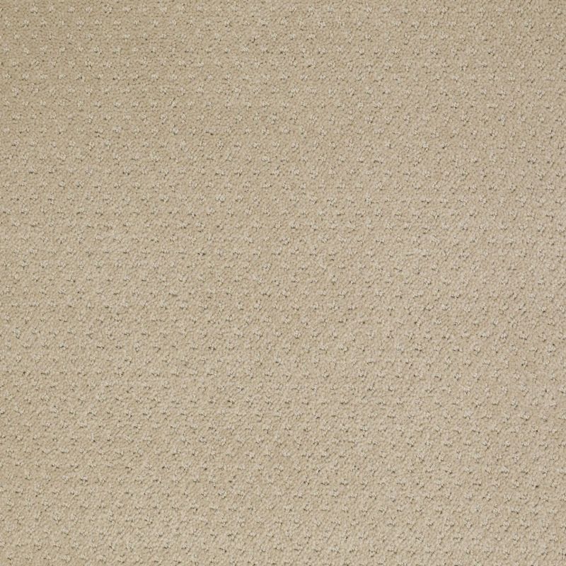 Shaw Floors Value Collections Genesis Net Wool Skein