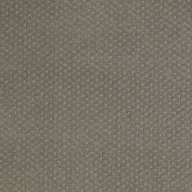 Shaw Floors Value Collections Genesis Net Pewter