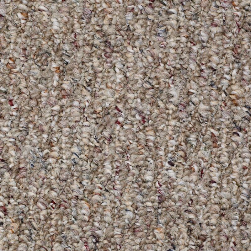 Shaw Floors Value Collections Pembrooke 12' Net Herbal Tea